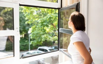 Screenshot 2025-09-29 103930